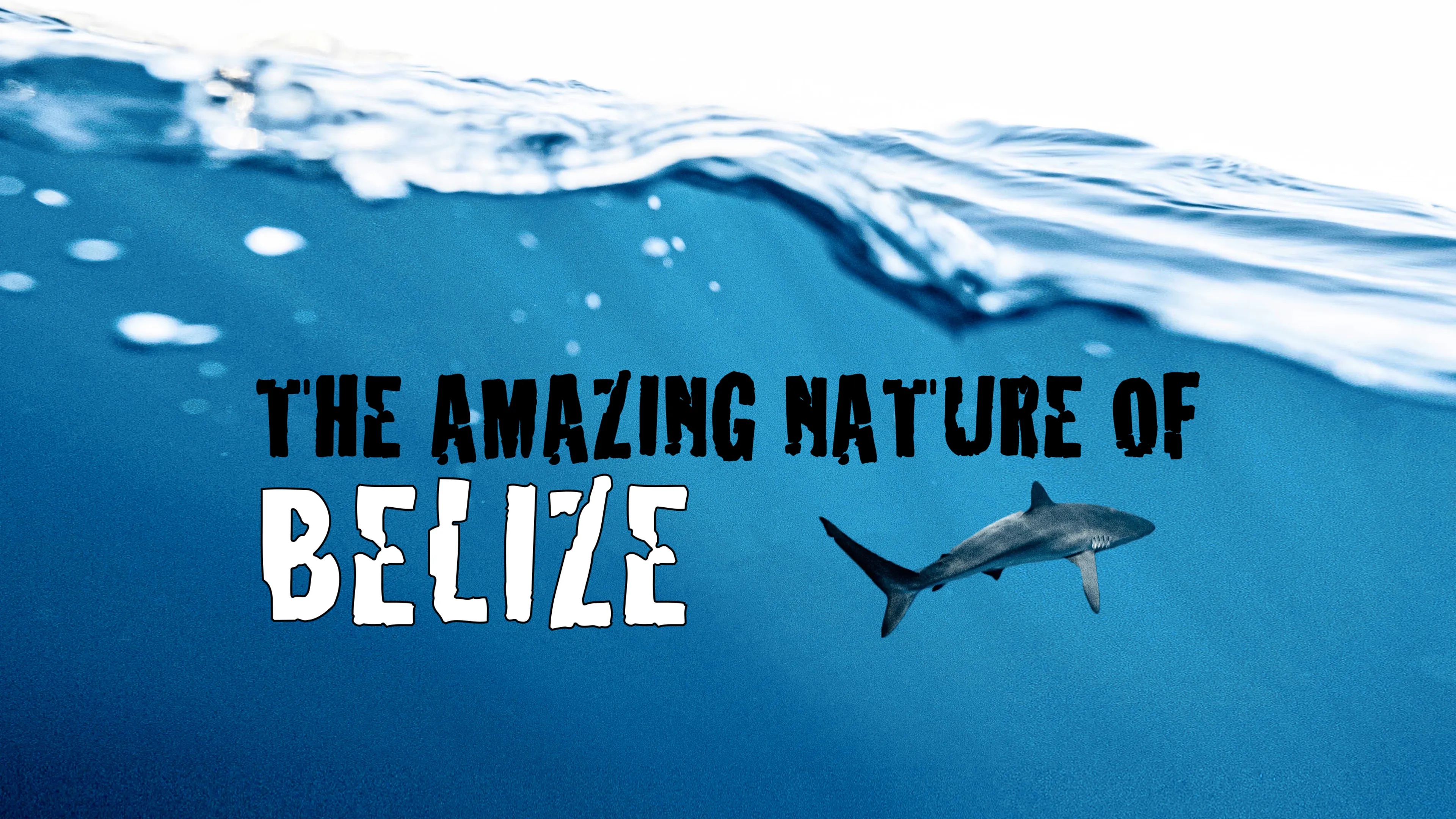 The Amazing Nature of Belize poster